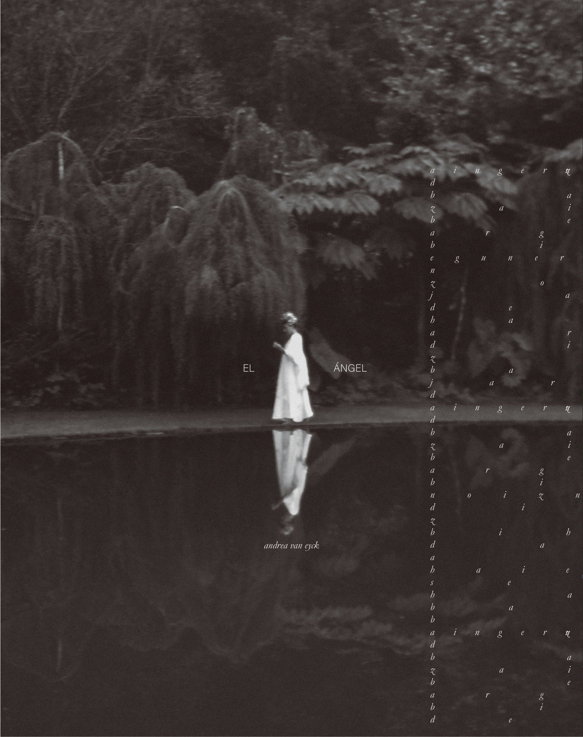 Andrea Van Eyck