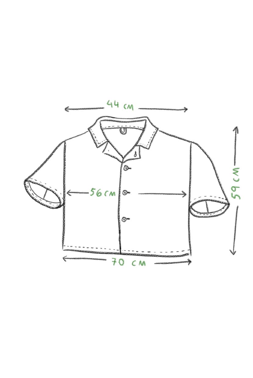 camisa Sare